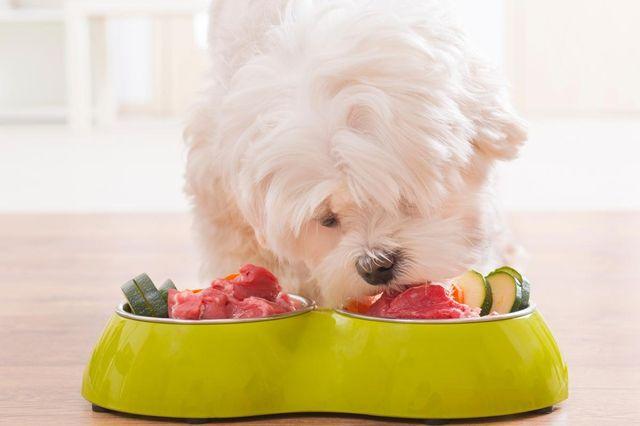 Натуральный корм для собак Натуральный корм для собак